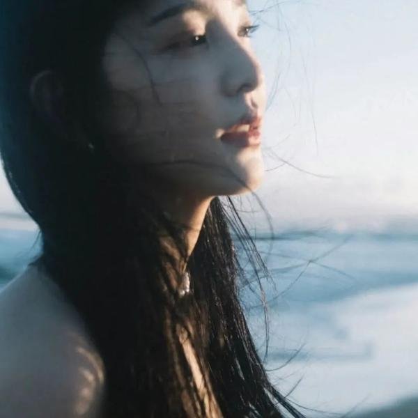 在屋顶上流浪