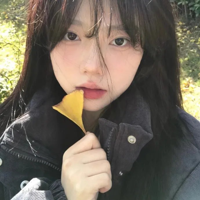 绿洲2020